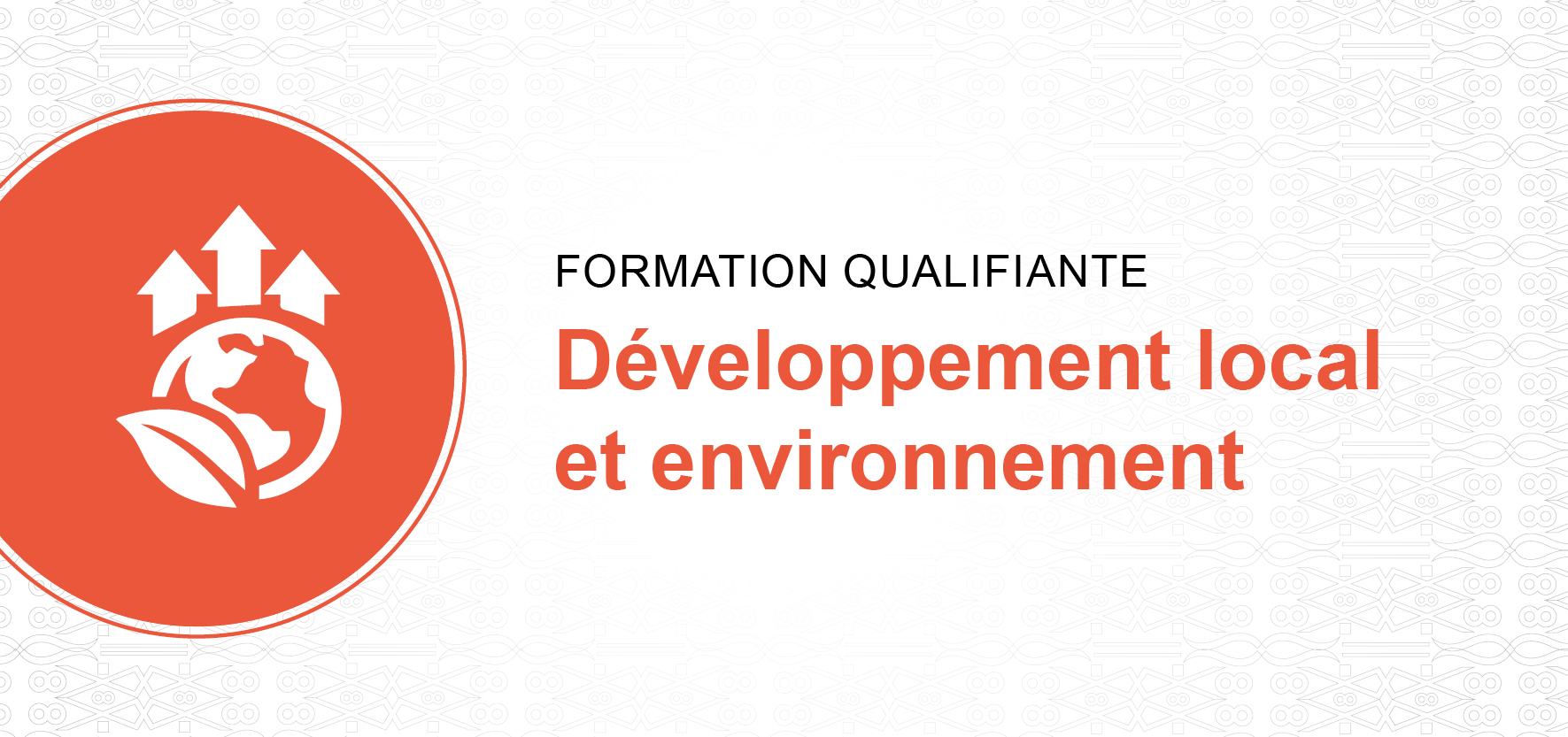 DÉVELOPPEMENT